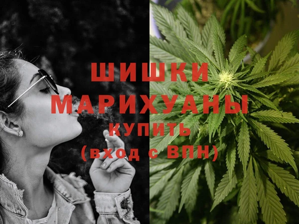 PSILOCYBIN Заводоуковск