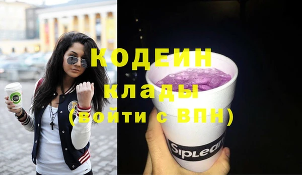 индика Заволжск
