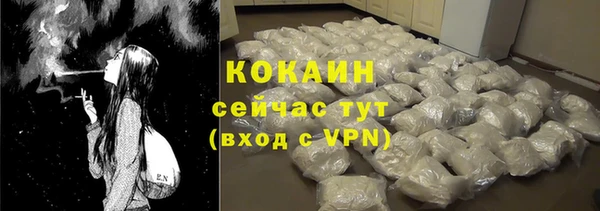 PSILOCYBIN Заводоуковск
