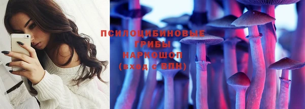 стафф Заволжье