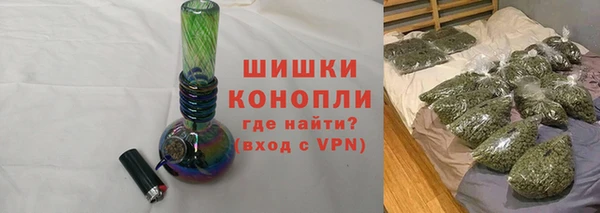 индика Заволжск