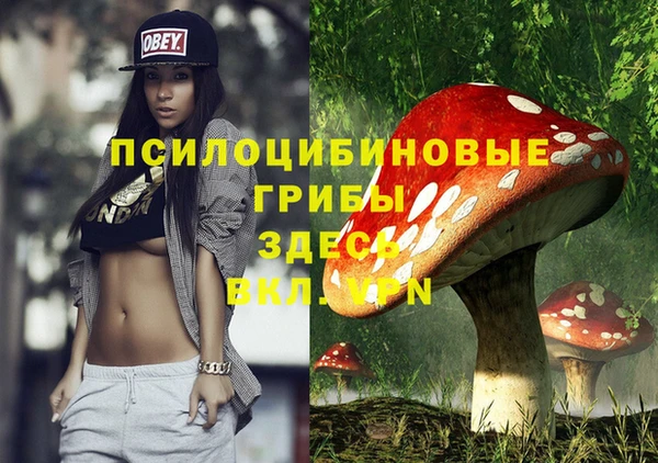 PSILOCYBIN Заводоуковск