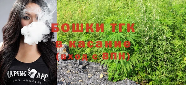 индика Заволжск
