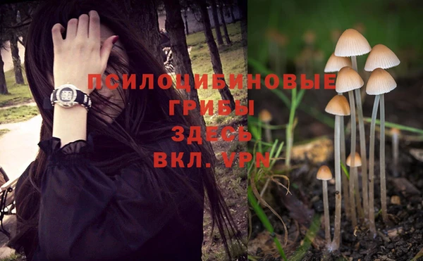 индика Заволжск