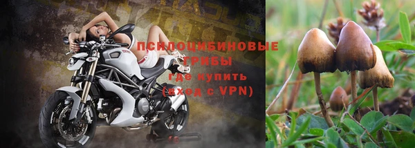 индика Заволжск