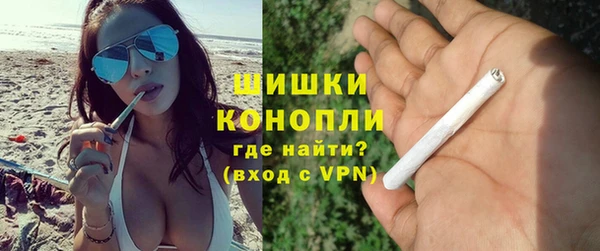 PSILOCYBIN Заводоуковск