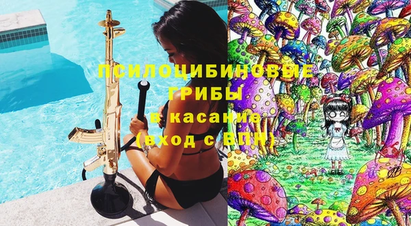 индика Заволжск