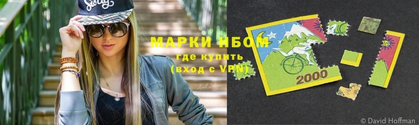 индика Заволжск