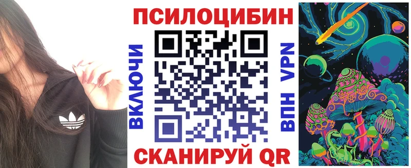 Купить где  Ефремов  Псилоцибиновые грибы мухоморы 