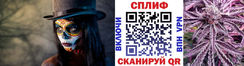 Купить где  Ефремов  Бошки марихуана тримм 